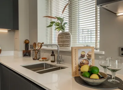 kitchen sink & window close up