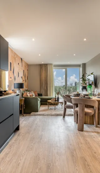 Dagenham Green - Apartment 865 living room indicative view 